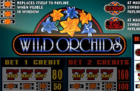 wild orchid slots free download